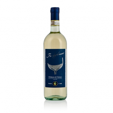 Erbaluce DOCG – Fiordighiaccio – Produttori Erbaluce di Caluso (Piemonte) Due bottiglie da cl 75
